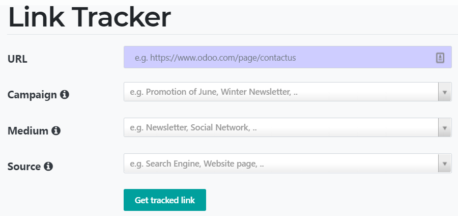 View of the link traker fields for Odoo Website