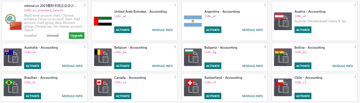 Install the appropriate module as fiscal localization package in Odoo Accounting.