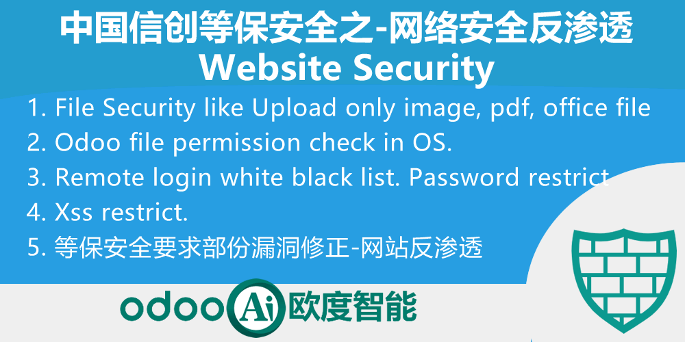 Website security. 中国信创-等保安全之网站安全反渗透