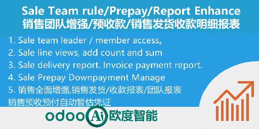 [app_sale_pro] Sale Team Access Rule, Sale All in one enhance, 销售全面增强,团队权限,发货报告,收款报告,预付款管理及凭证自动化